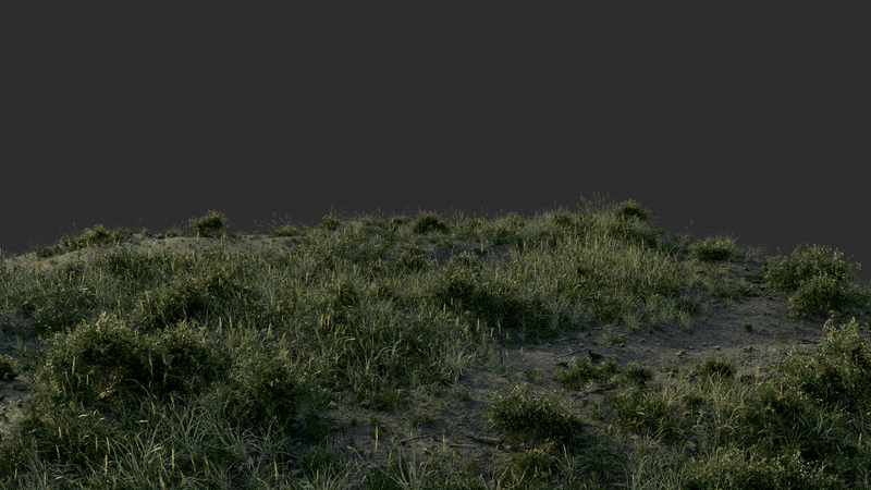 Interactive environments animation