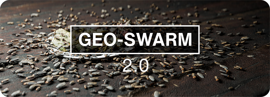 Geo Swarm