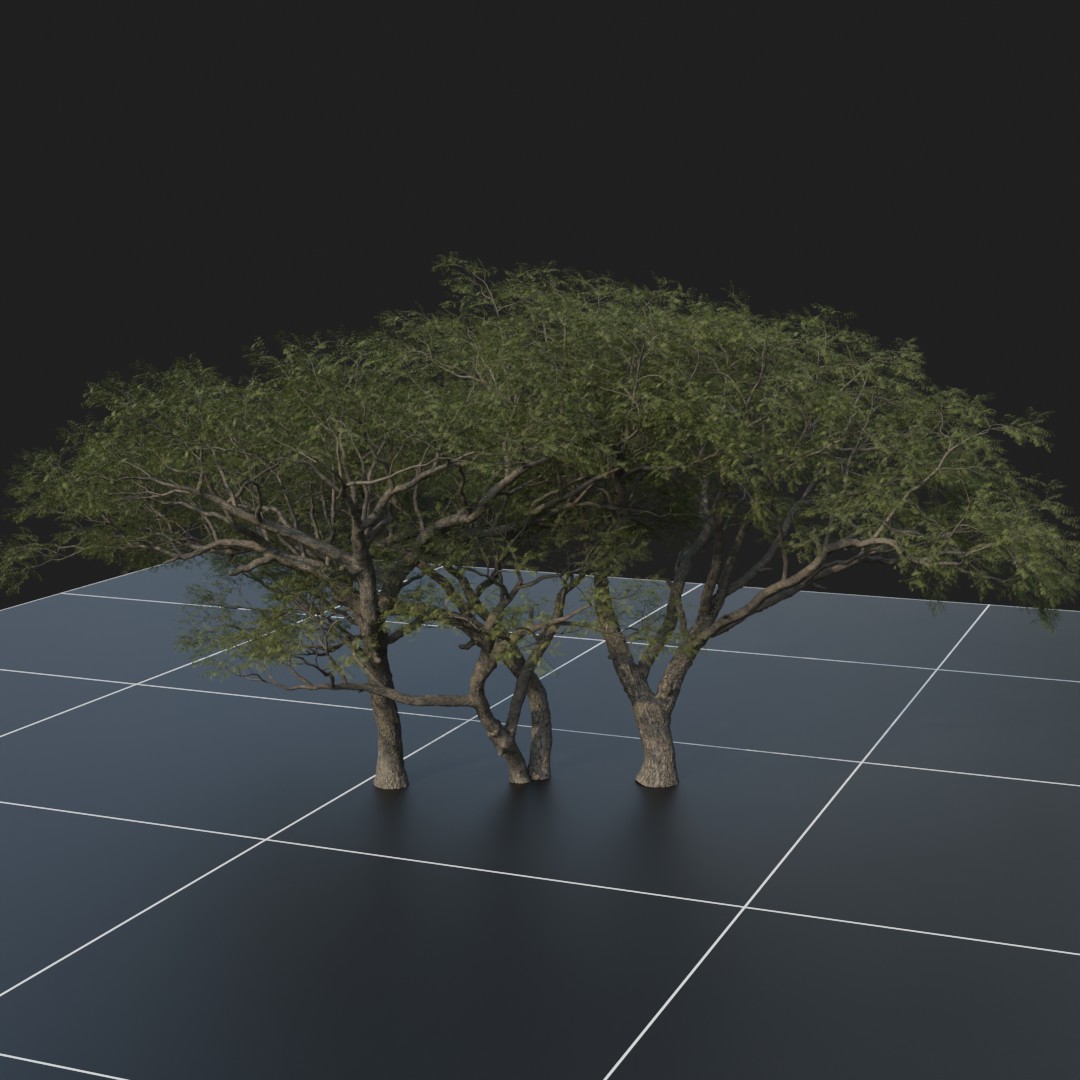 Trees
