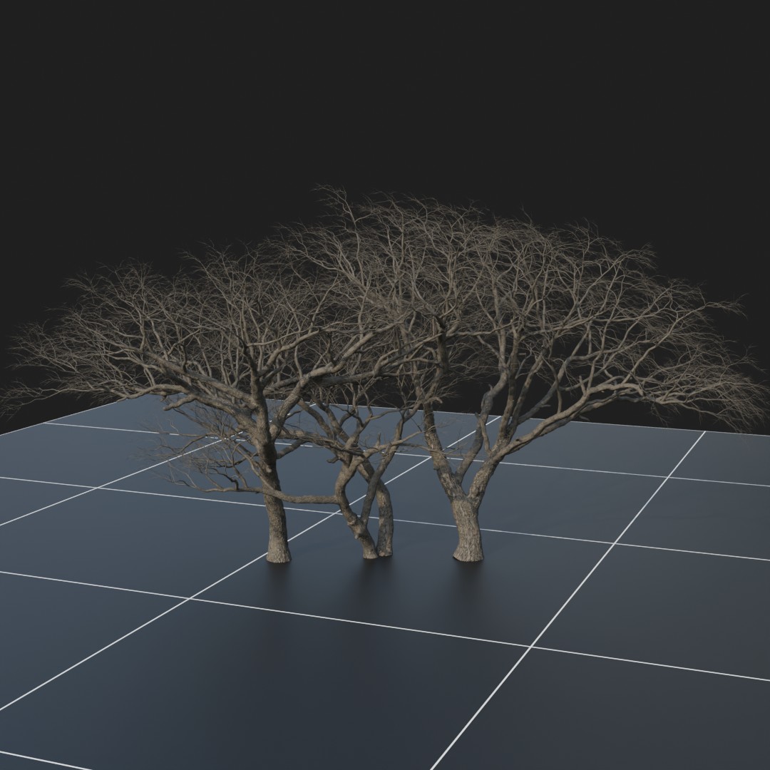 AcaciaTrees_Dead