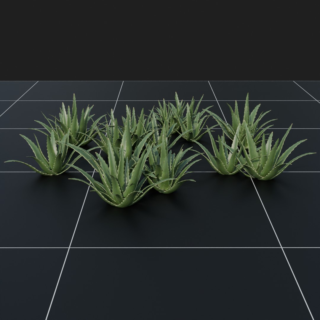 Plants