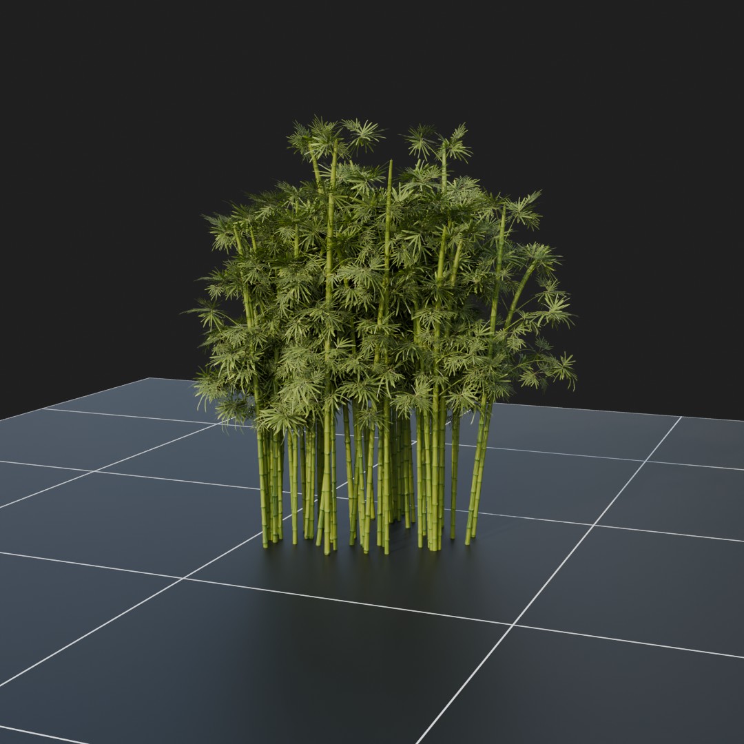 Bamboo