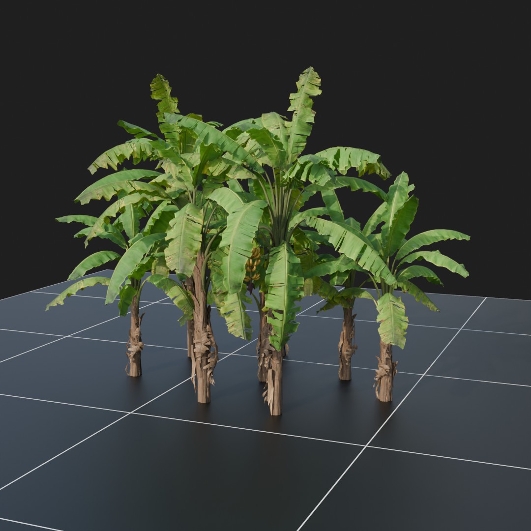 BananaPlant