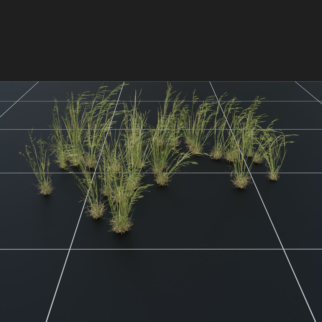 Grass