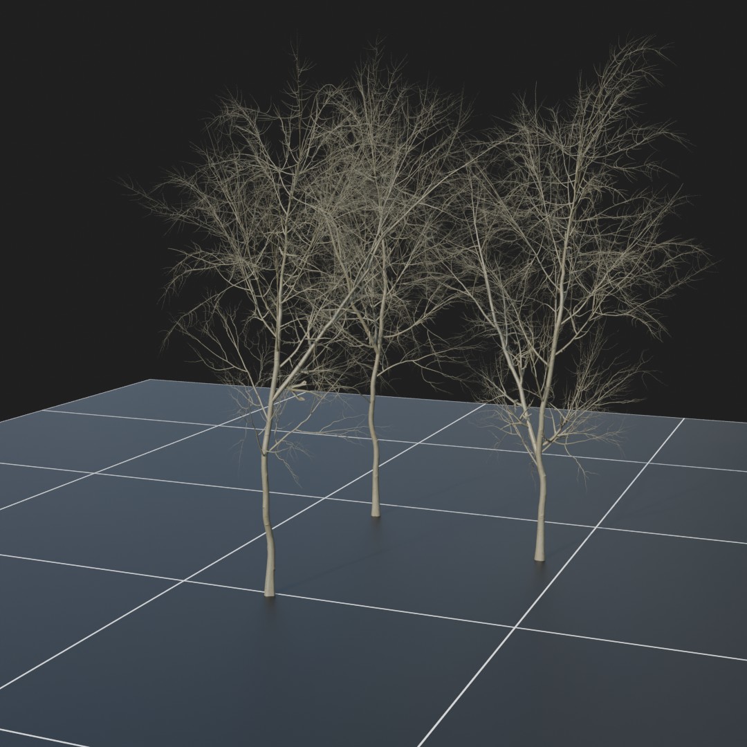 Beech_Dead