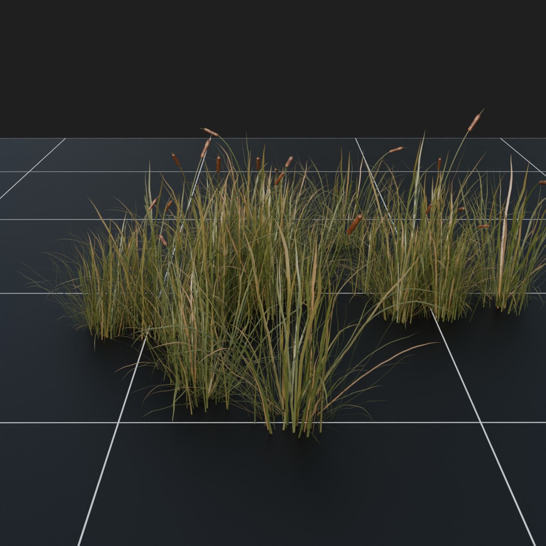 CatTail