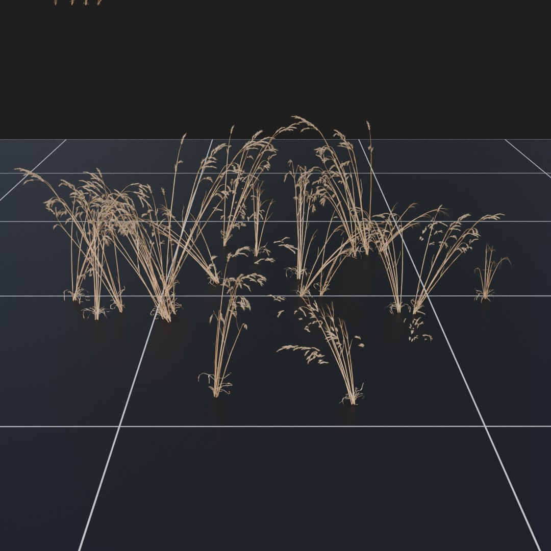 CheatGrass