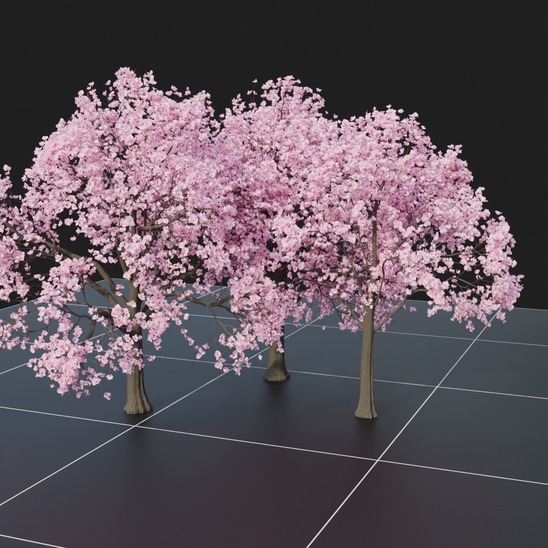 CherryBlossom