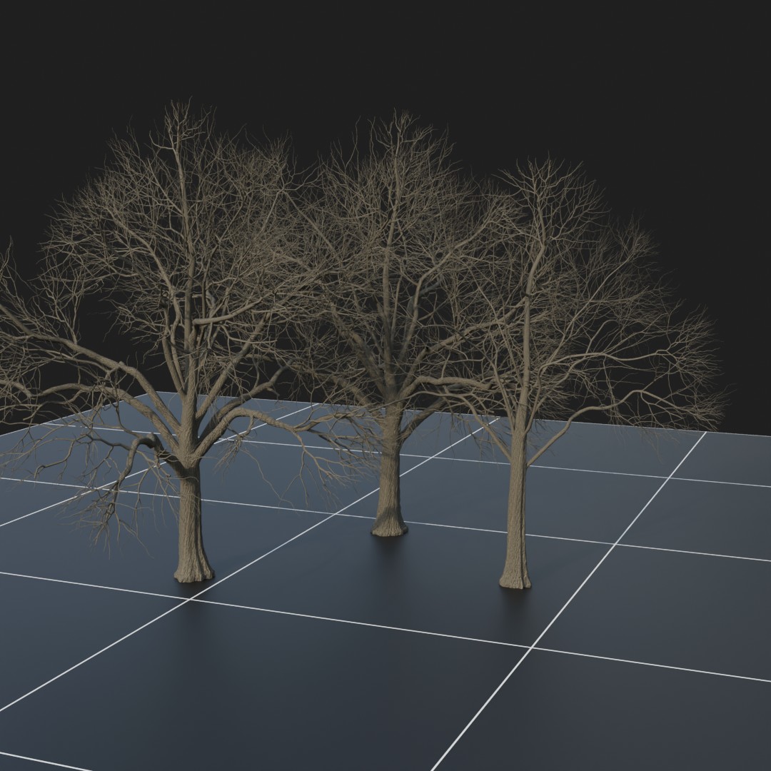 CherryBlossom_Dead
