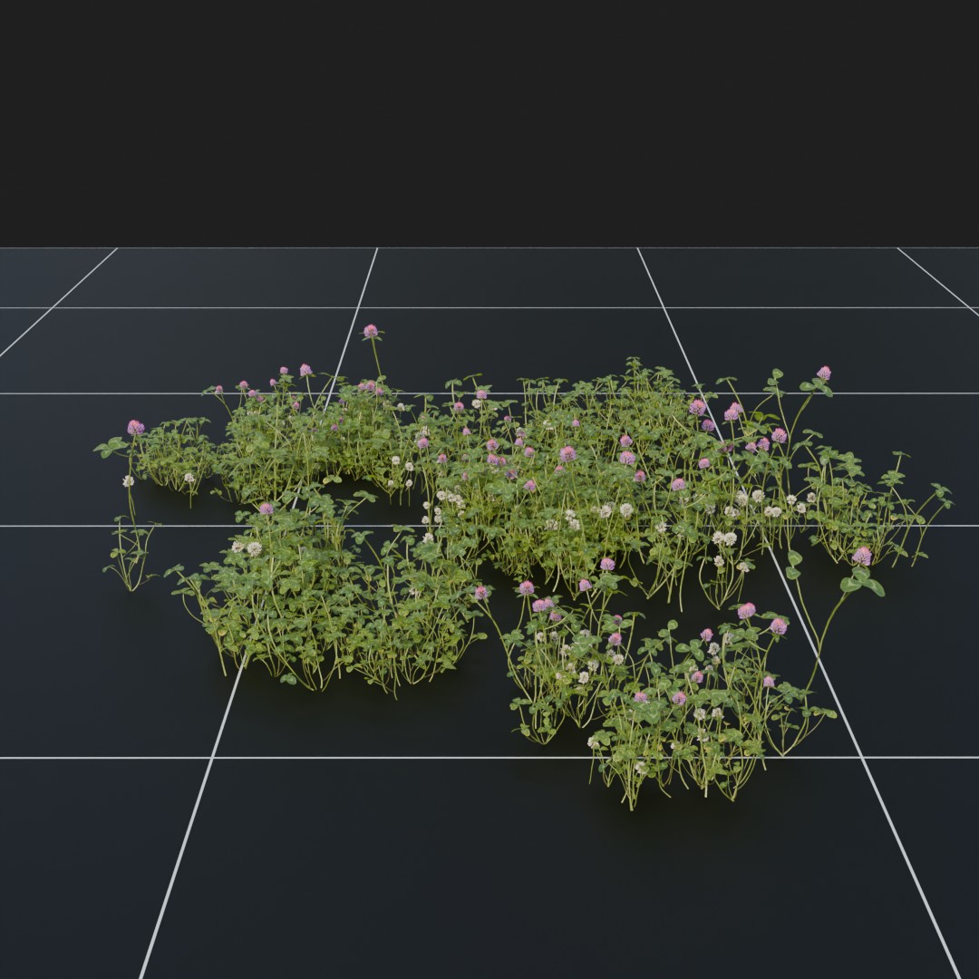 Clover