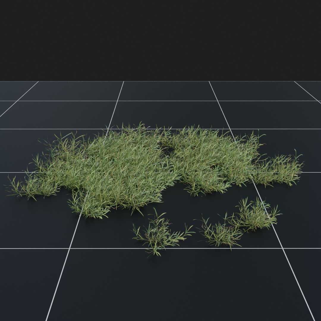 CreepingBentgrass