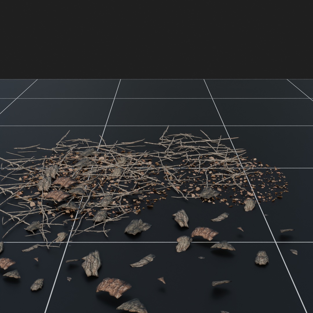 Debris