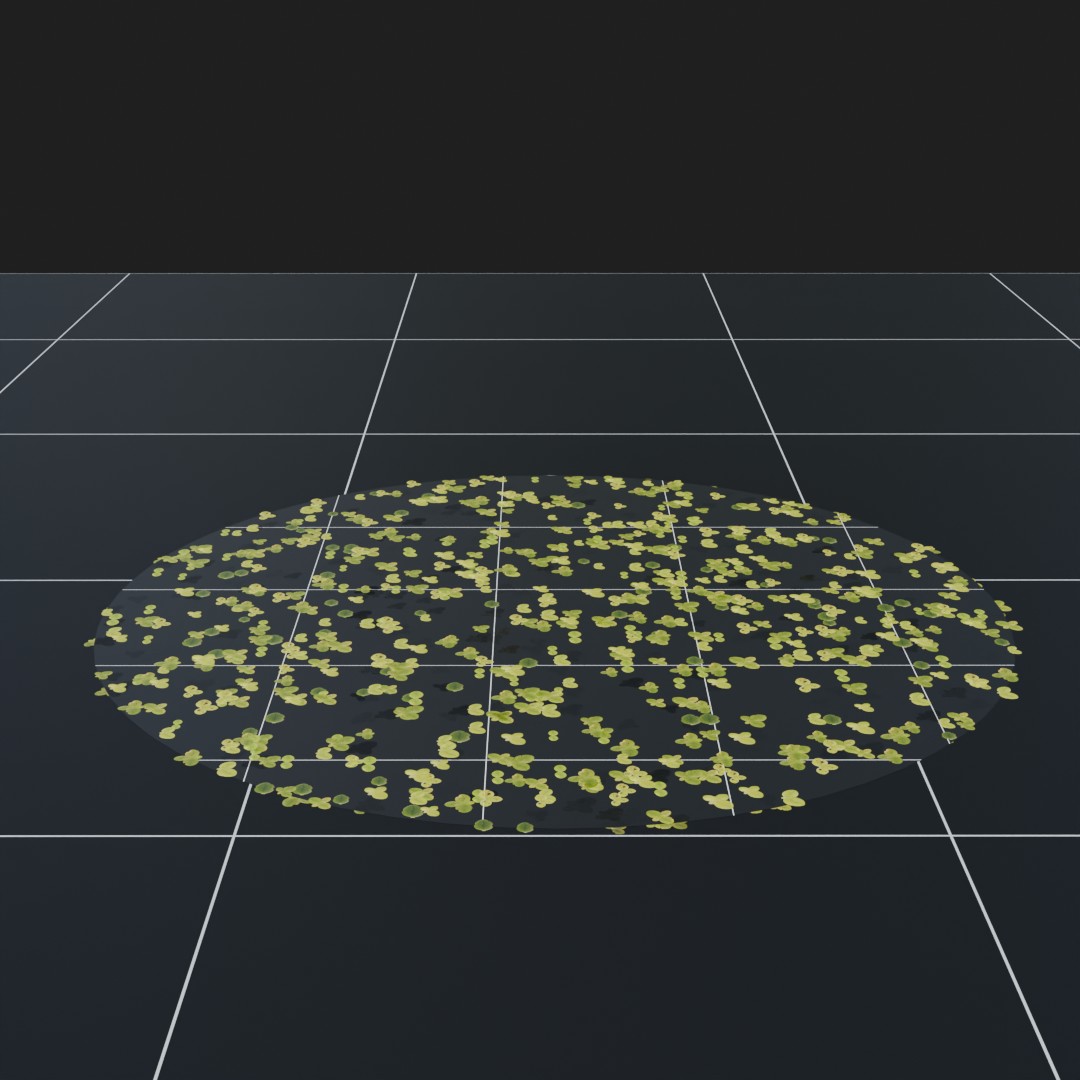 DuckWeed