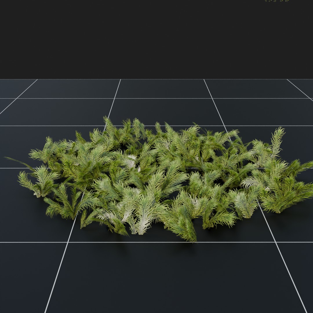 FeatherMoss
