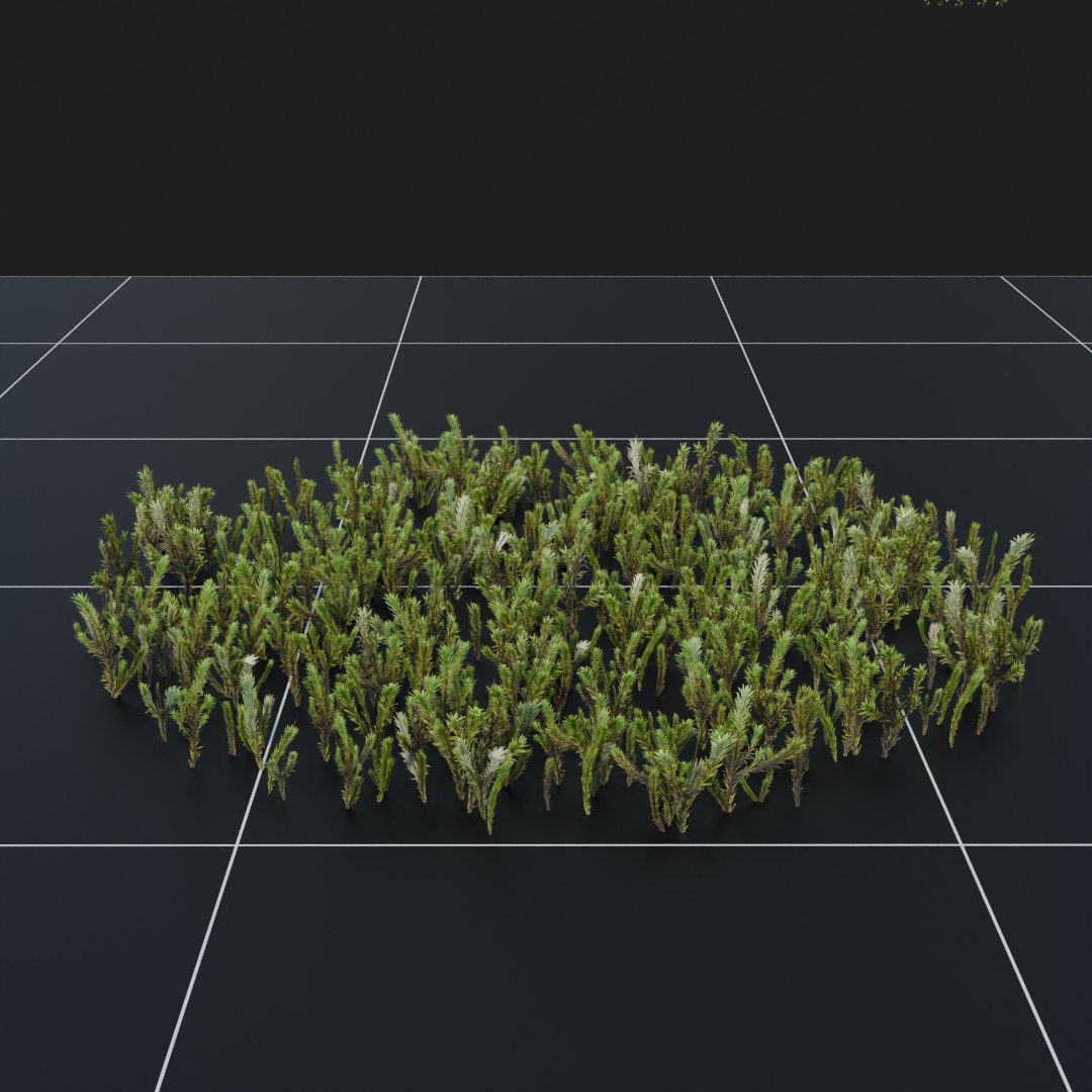 FinalHaircapMoss