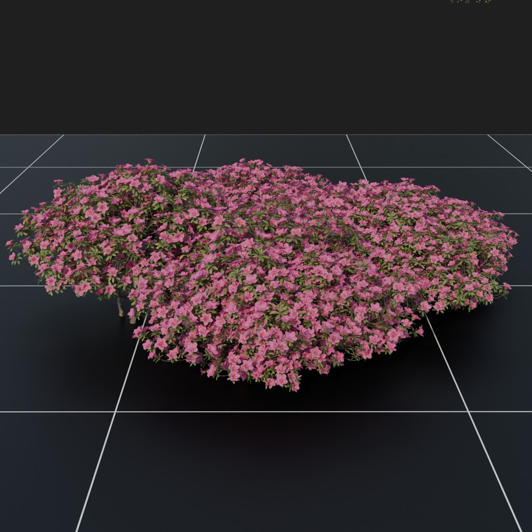 FlowerBush