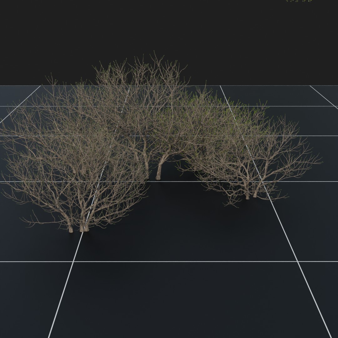 FlowerBush_Dead
