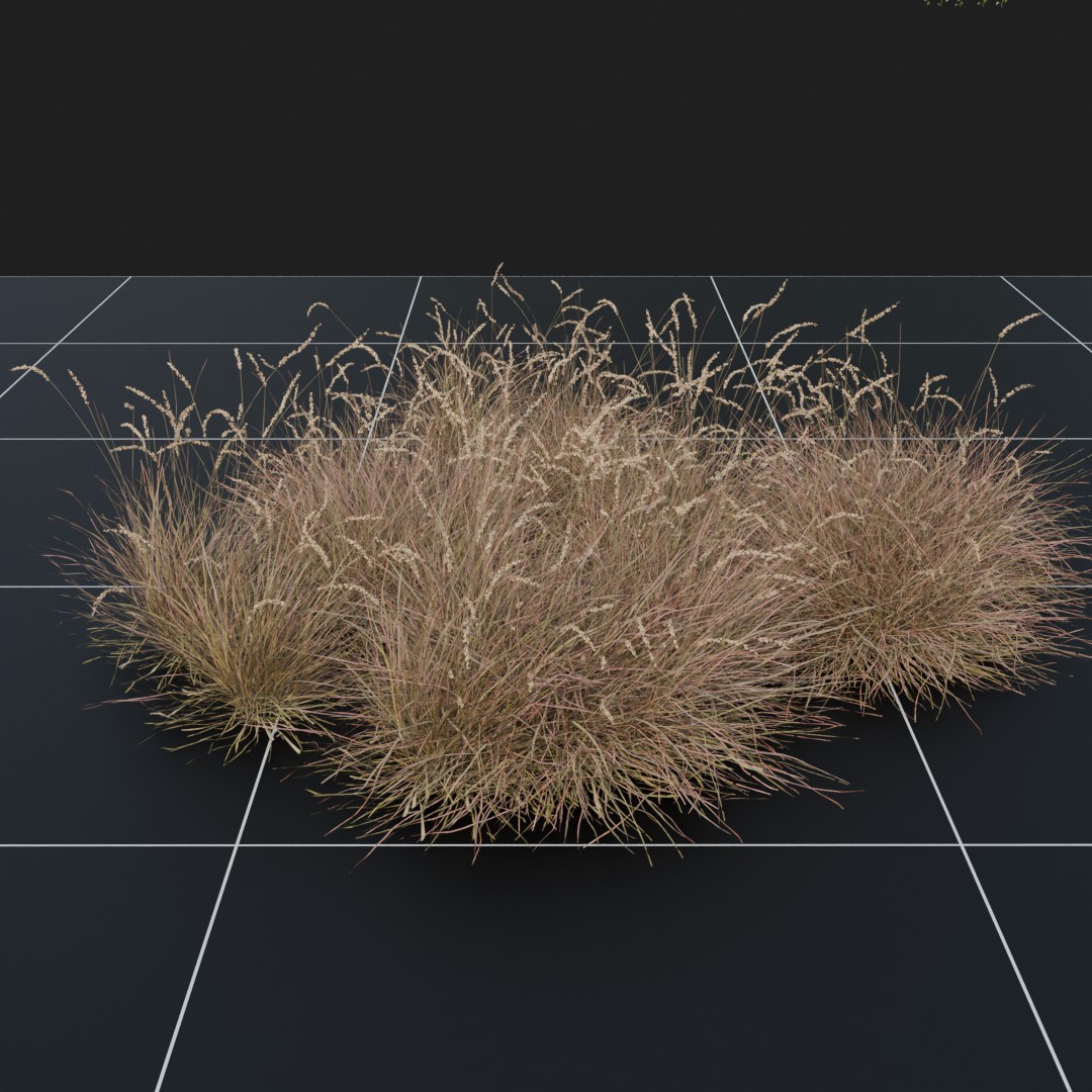 GalettaGrass