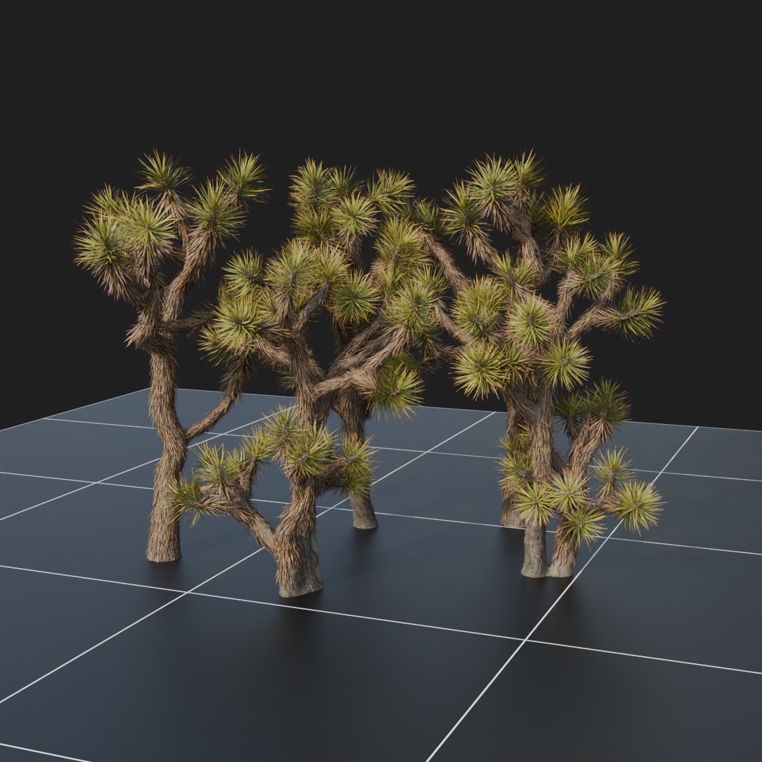 JoshuaTree