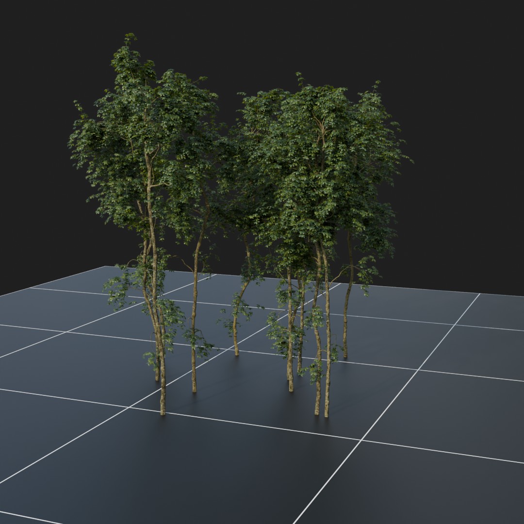 JungleTrees