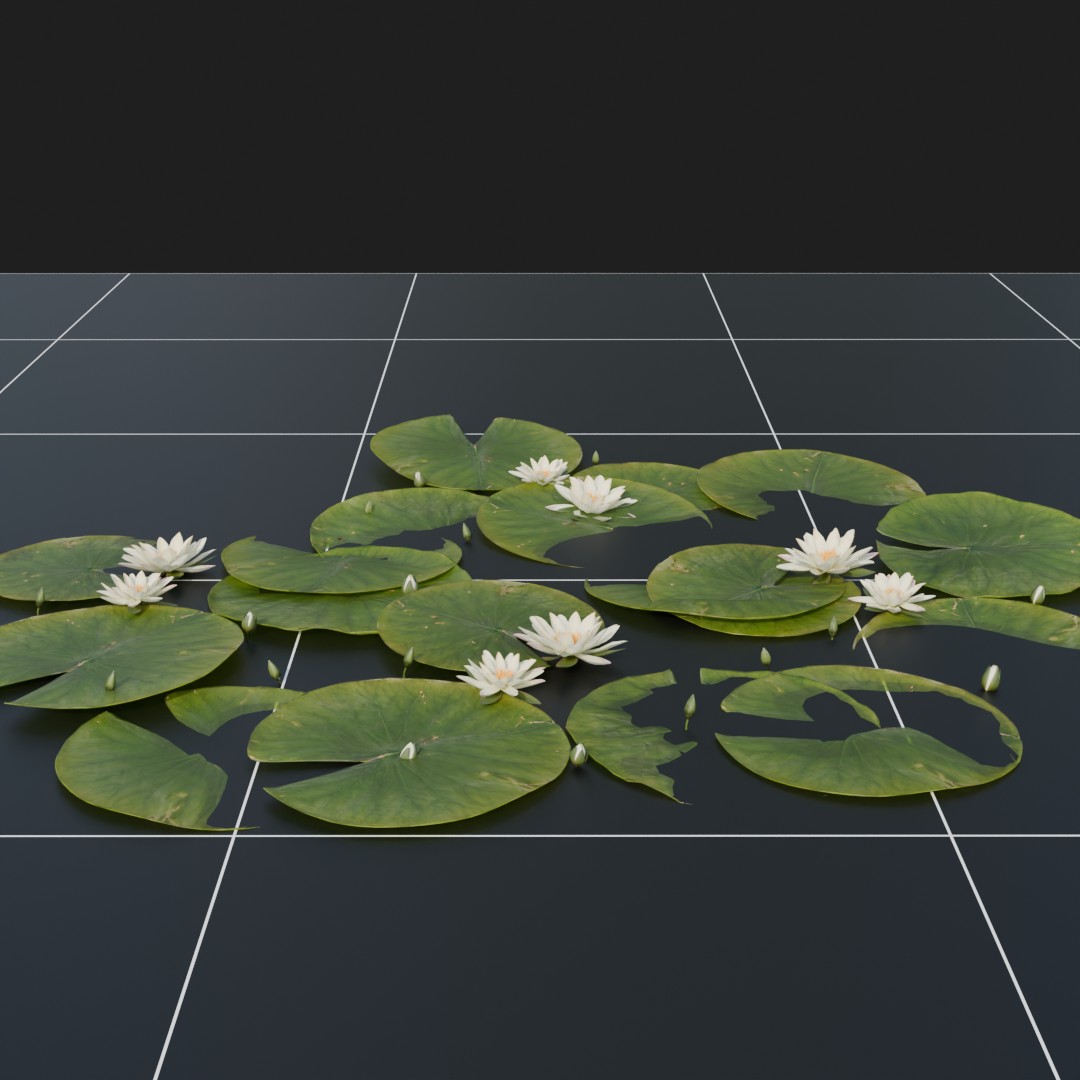 LilyPads