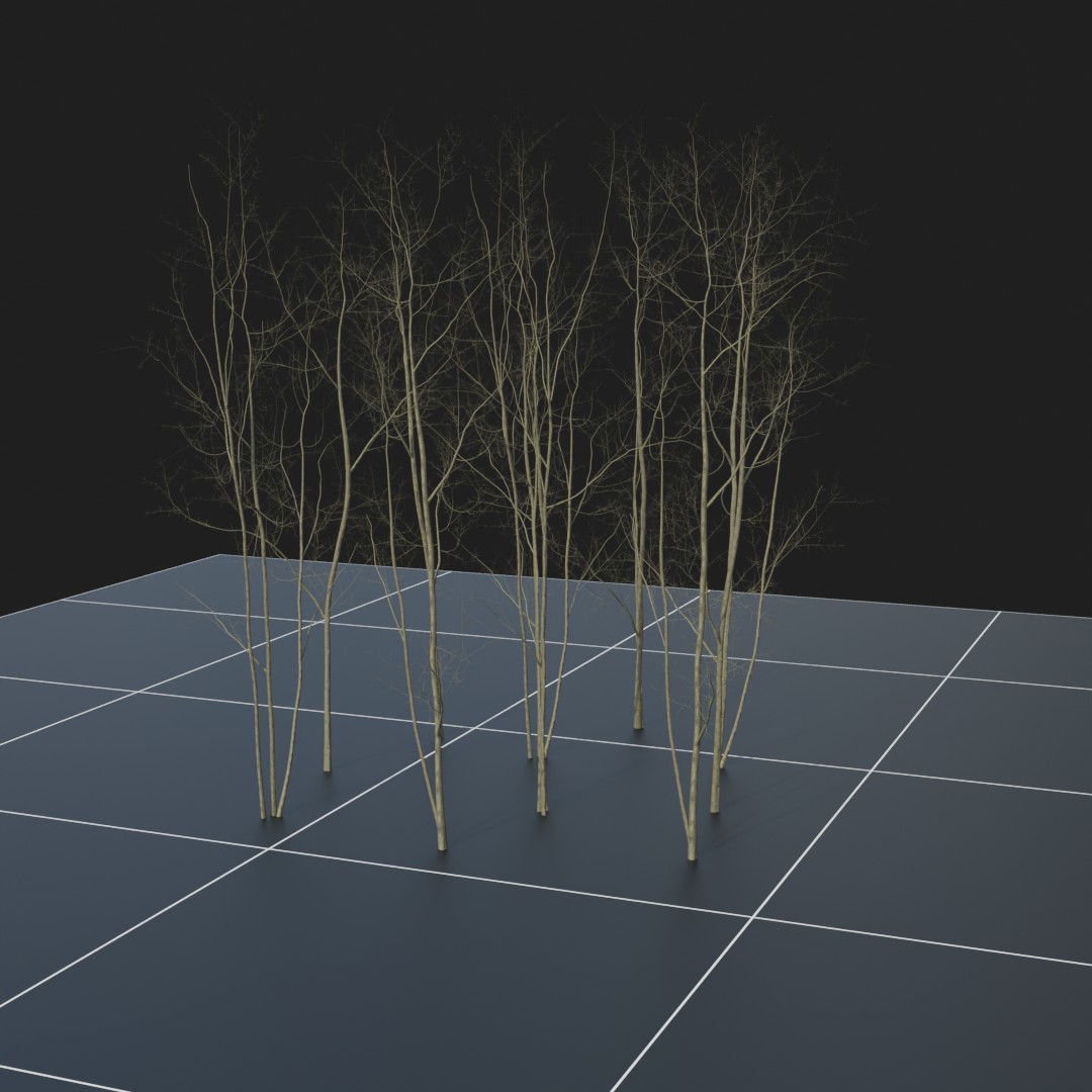 MapleSapling_Dead