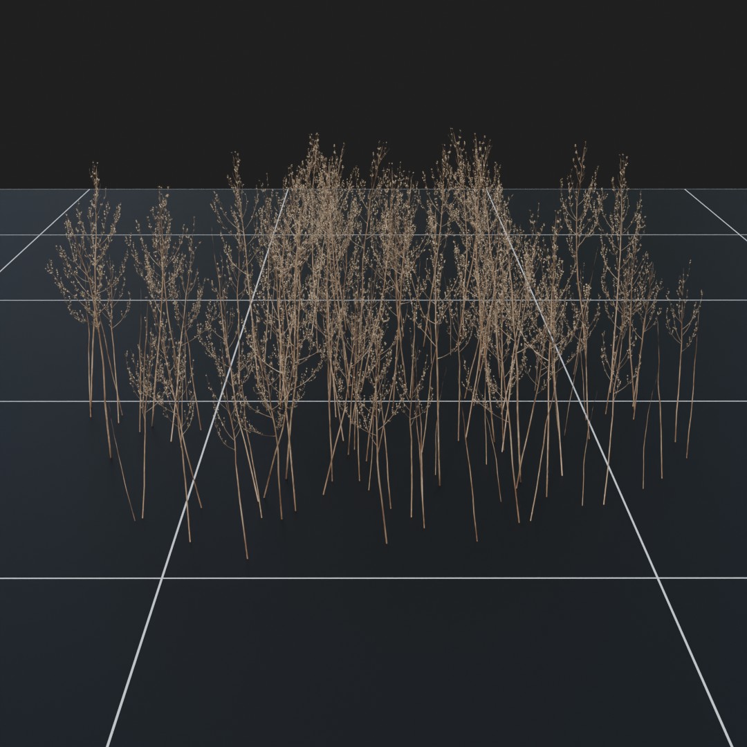 MugWort_Dead