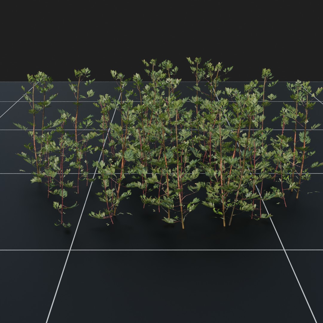 MugWort_Green