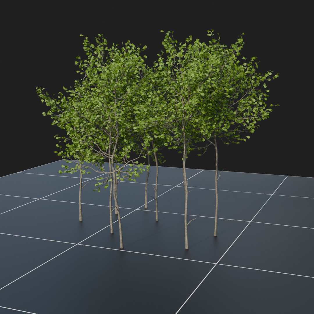 OakSapling