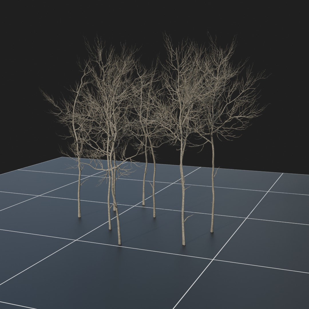 OakSapling_Dead
