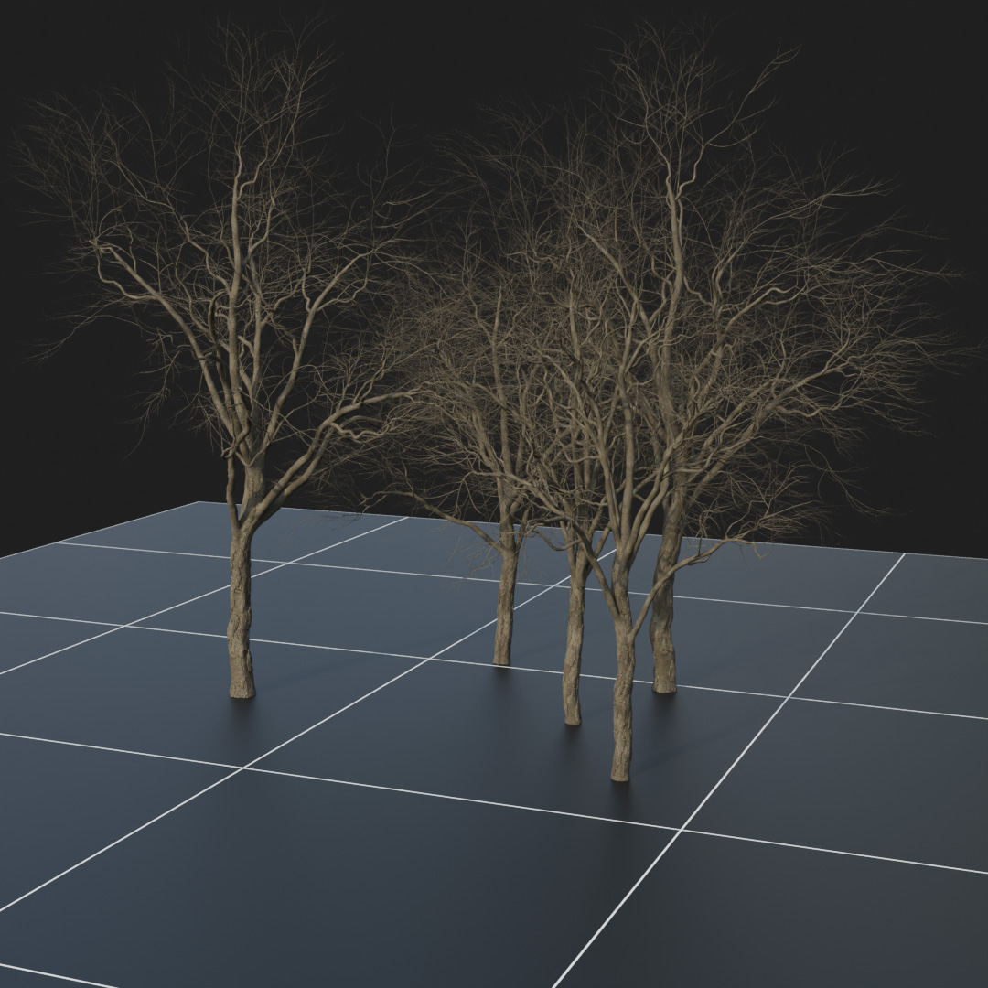 OakTree_Dead