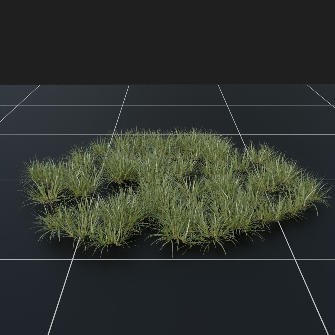 OrchardGrass_Small
