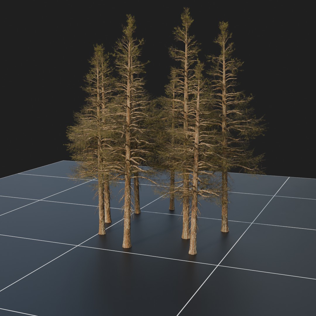 Pine