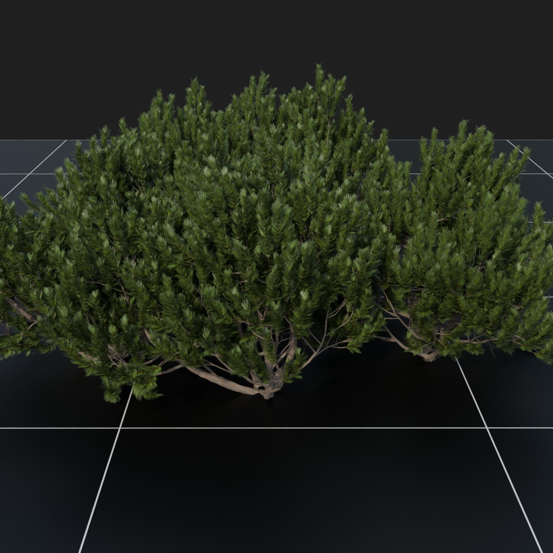 PineBush