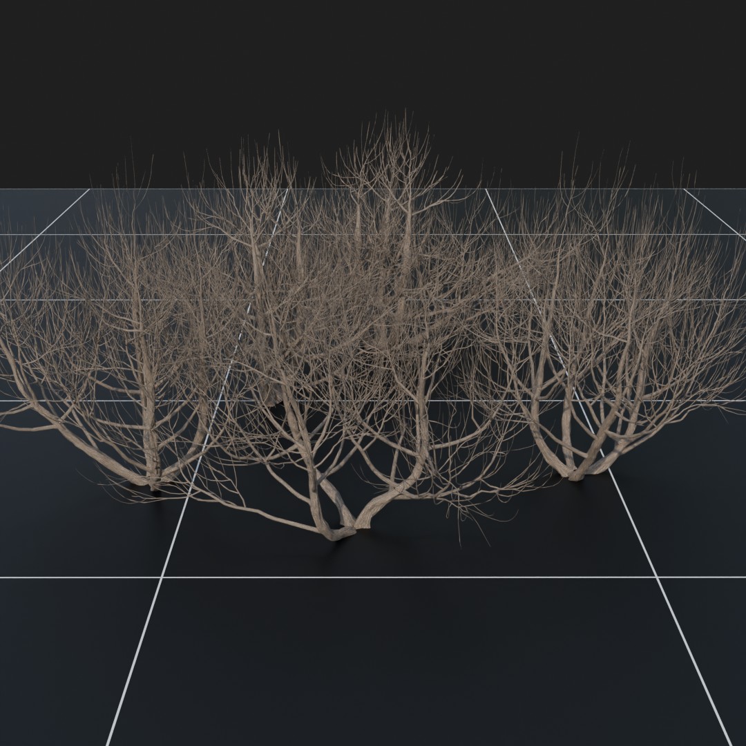 PineBush_Dead