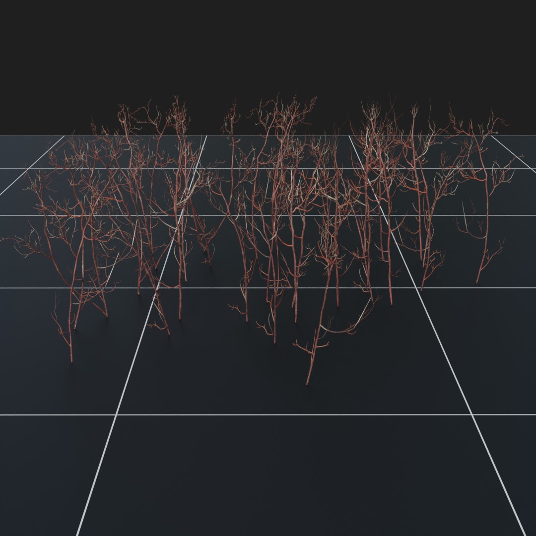 RedDogwood