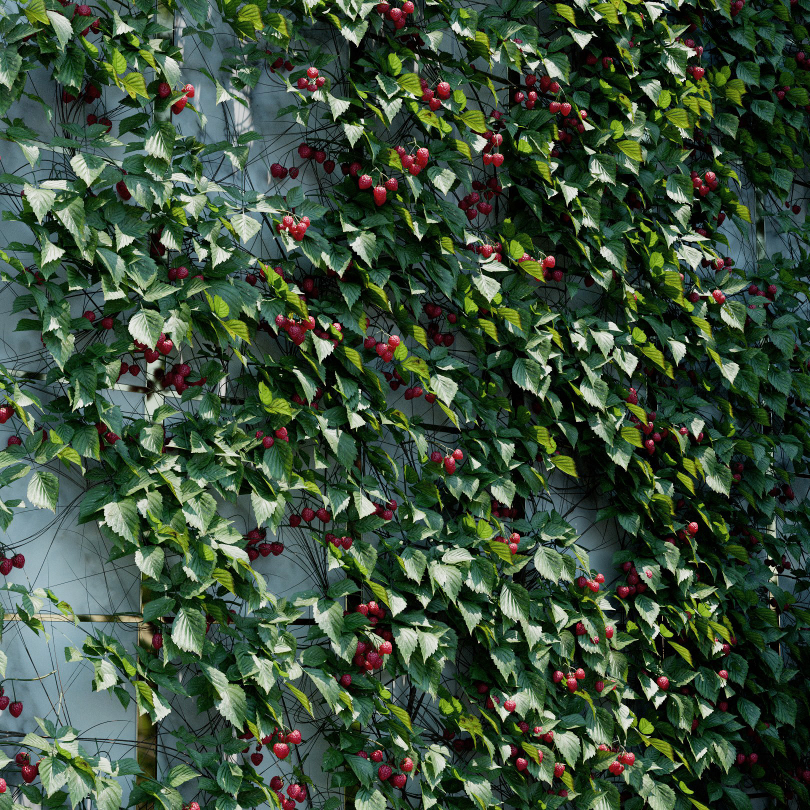 Rubus Fruticosus Ivy Preset