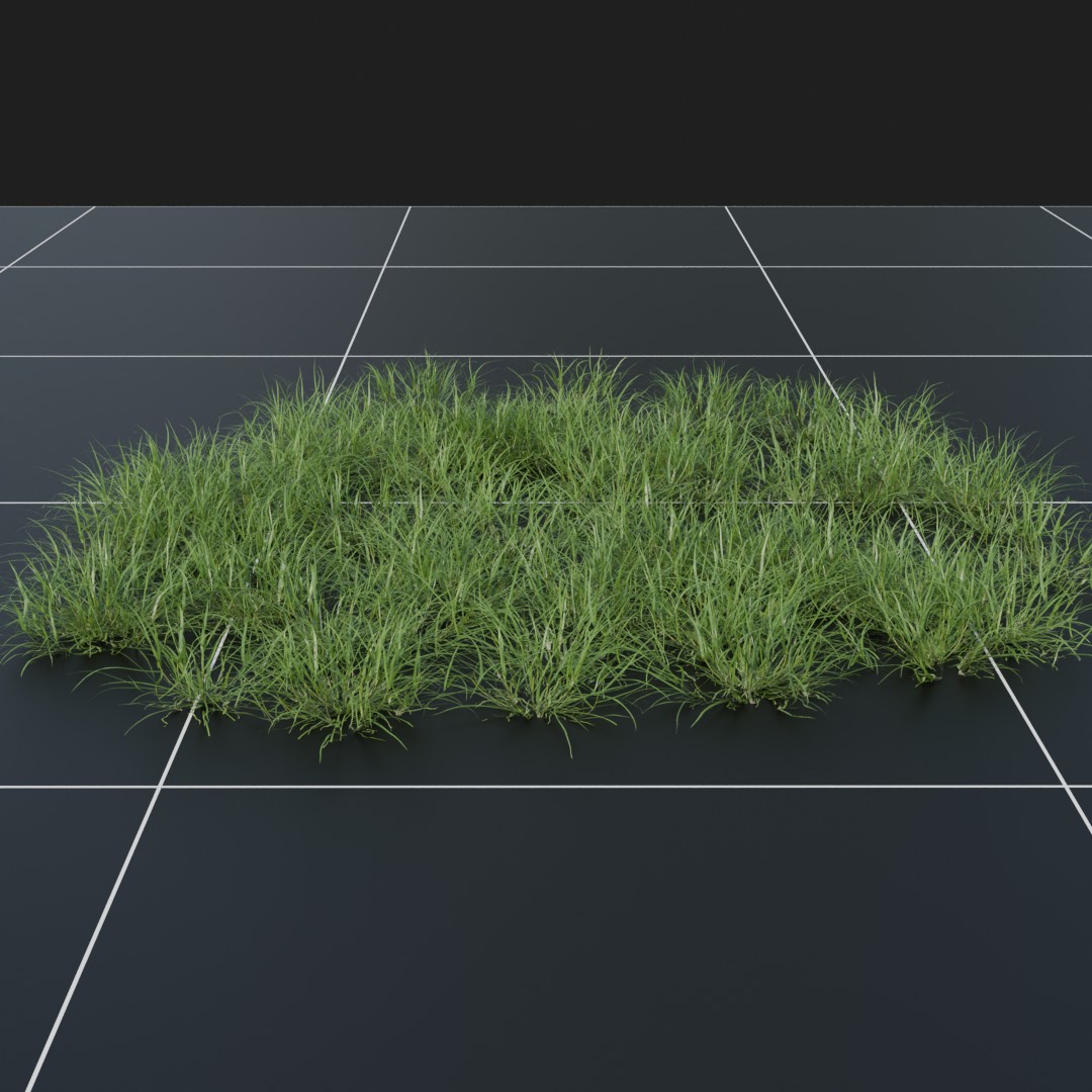 Ryegrass_Small