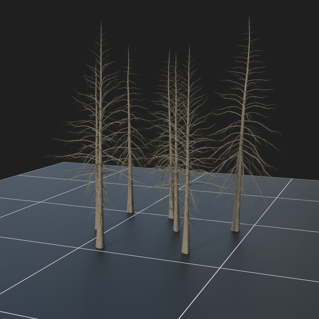 Spruce_Dead