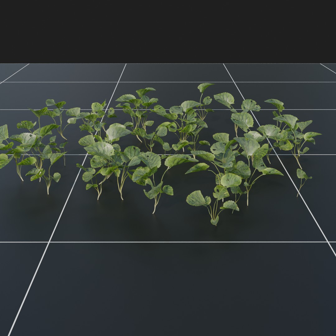 SweetViolet