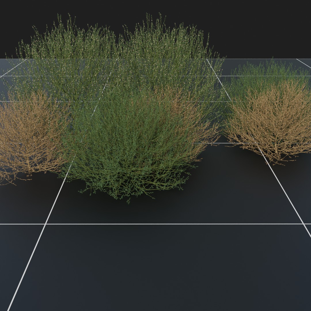 TumbleWeed