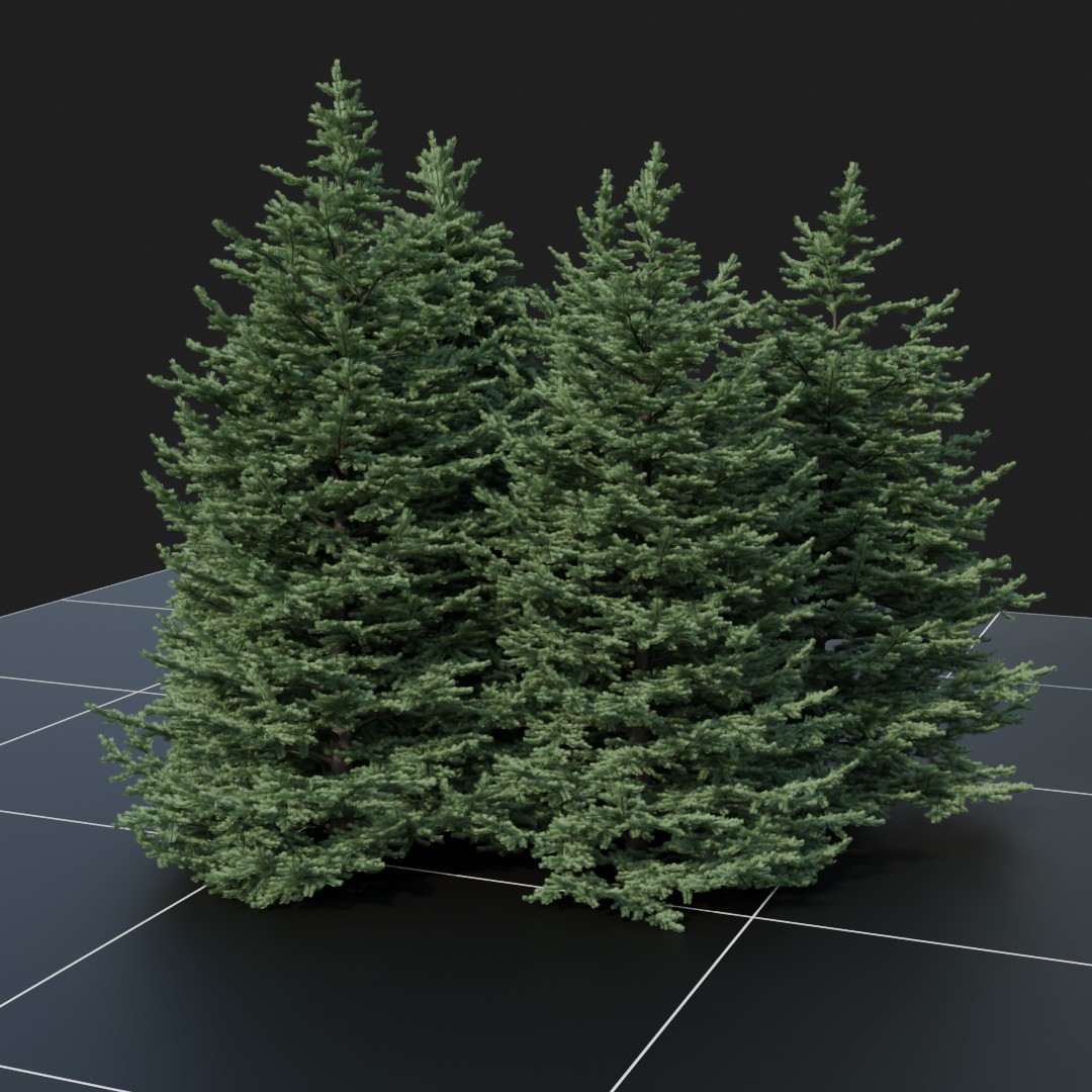 WhiteFir