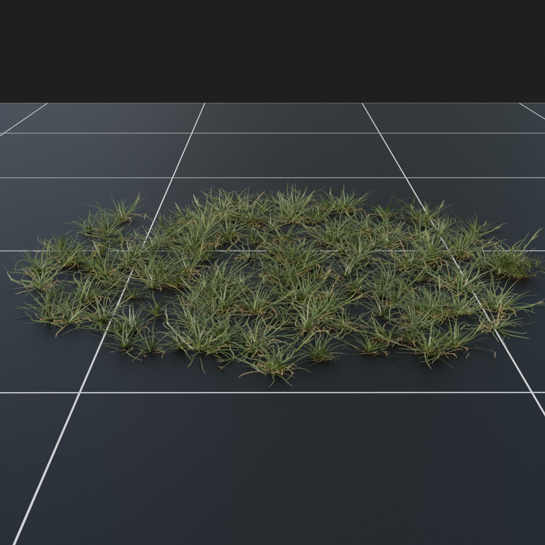 YellowOat_Small